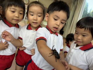 3歳児みどり・ふじ組　　楽しい夏♪