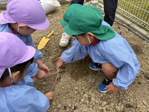 ３歳児　みどり・ふじぐみ　遠足